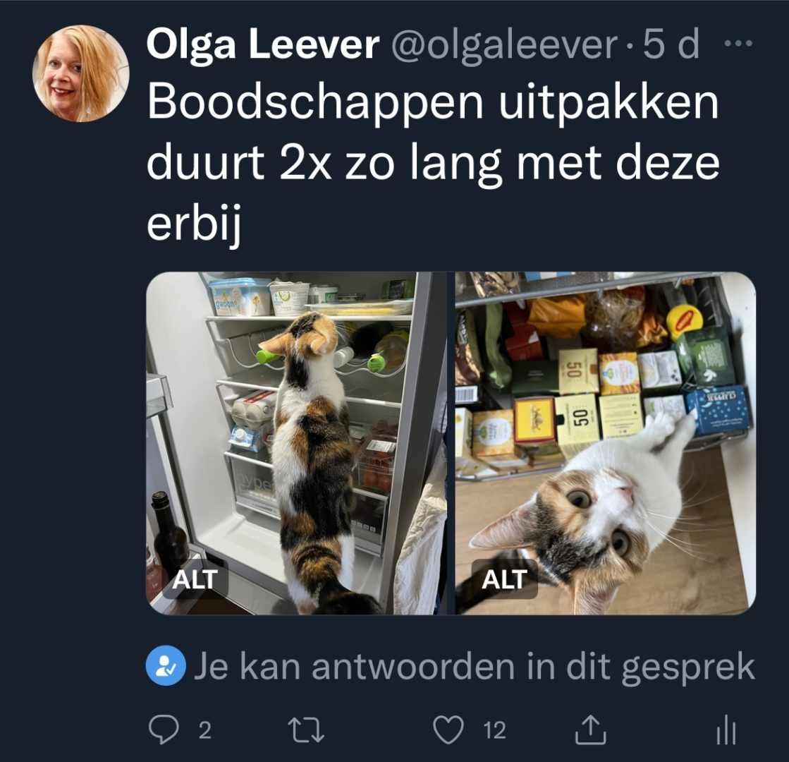 foto van een tweet met twee foto's van de kat in de koelkast en in de voorraadkast
